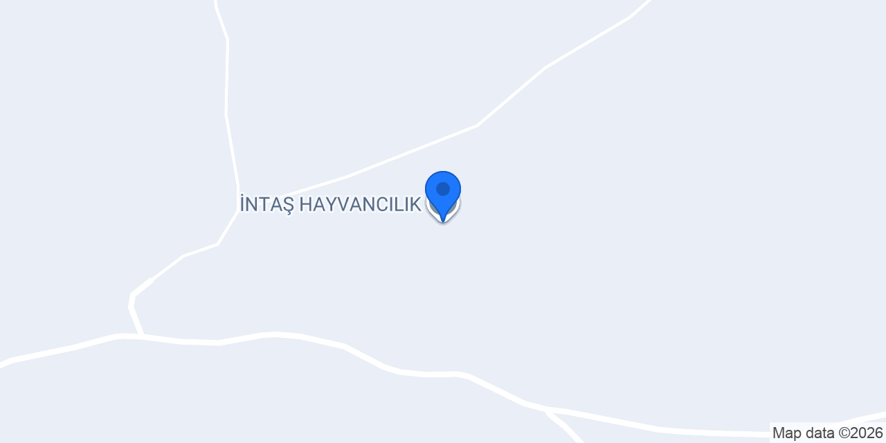 İNTAŞ HAYVANCILIK konumu