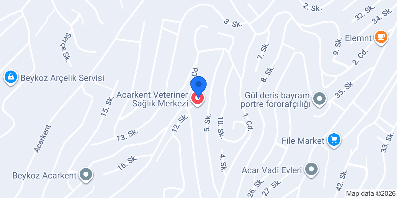 Pingu's English School Acarkent konumu