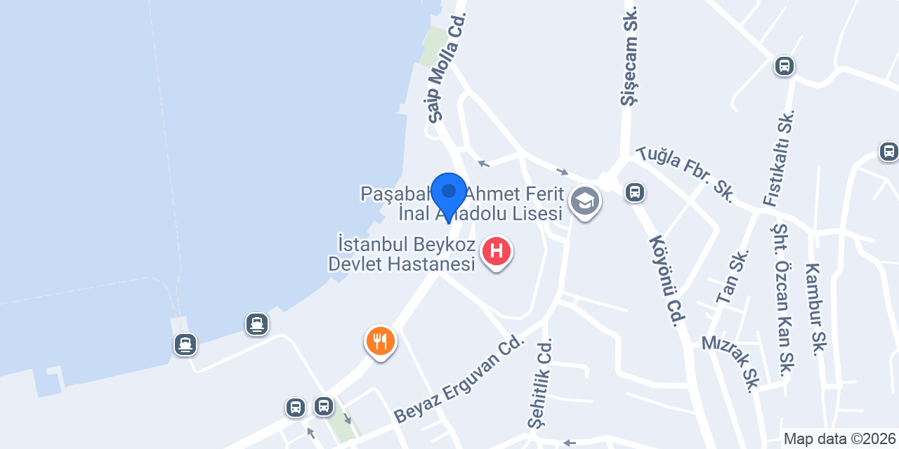 Eczane Karadeniz konumu
