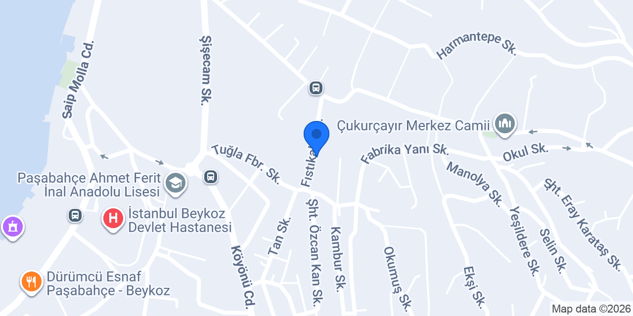 PALMİYE MOBİLYA konumu