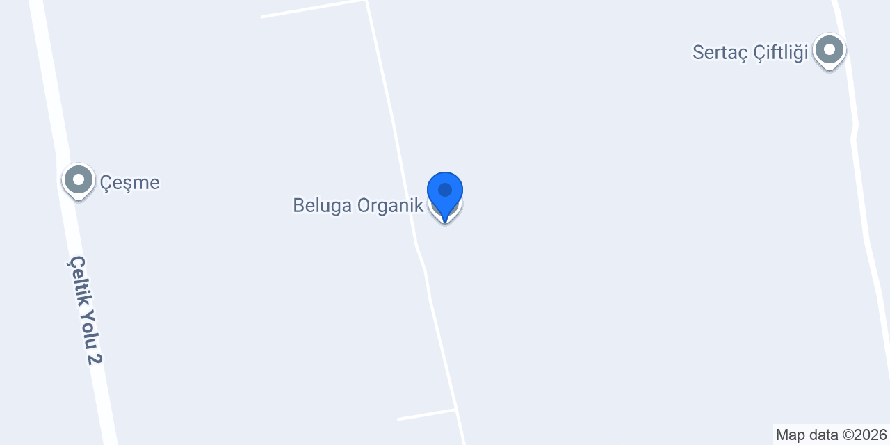 Beluga Organik konumu