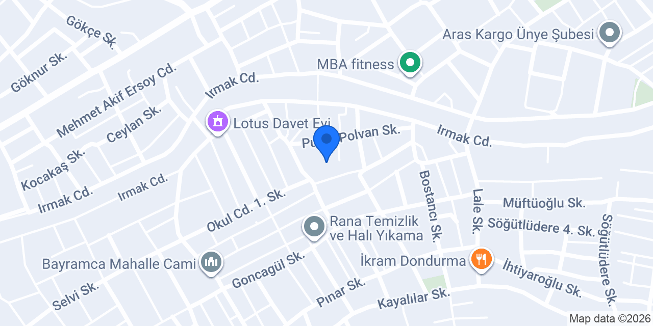 Puset Polvan Ortaokulu konumu