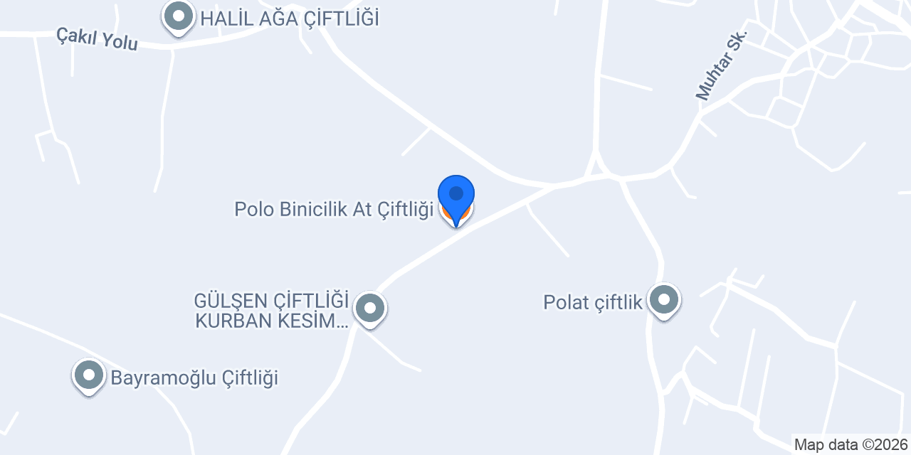 Polo Binicilik At Çiftliği konumu