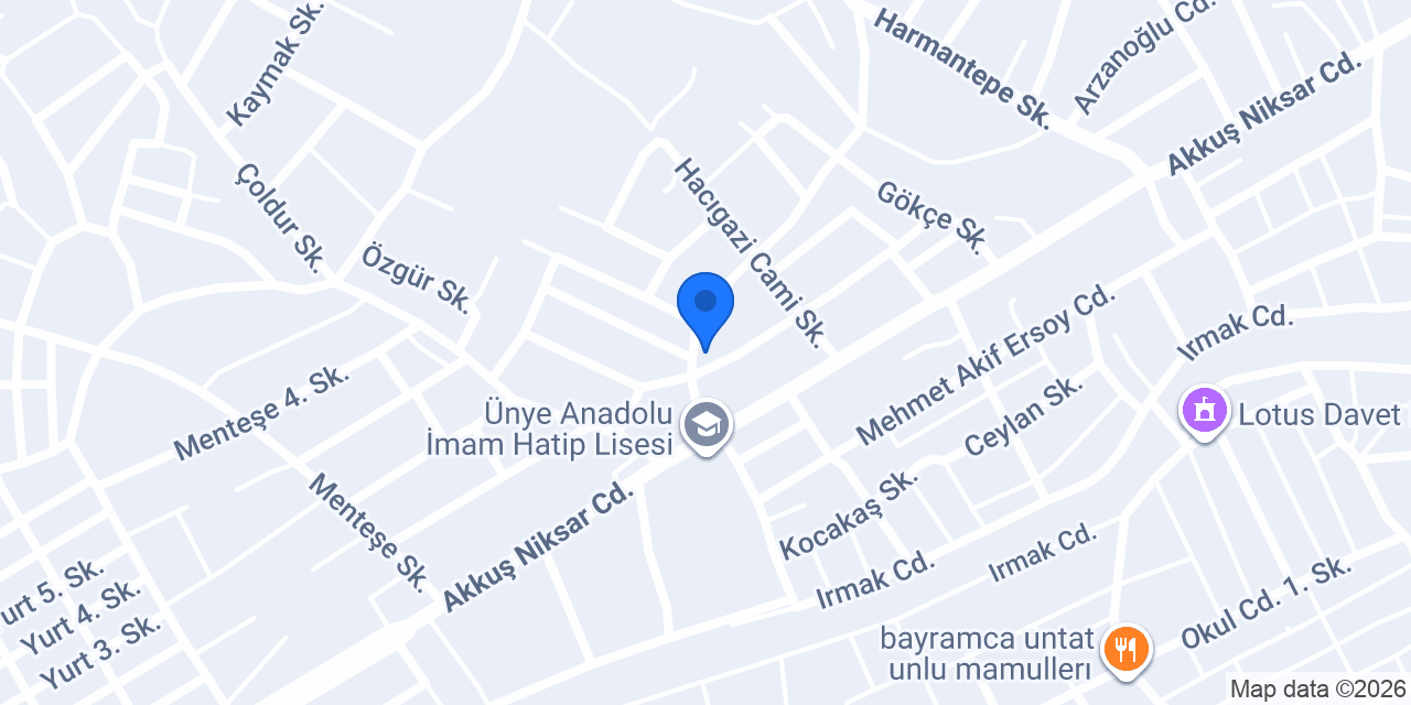 ALTUN ELEKTRİK konumu