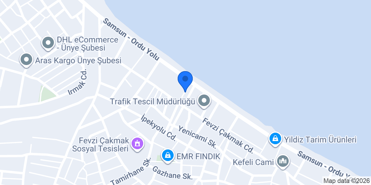 my sigorta acenteliği konumu