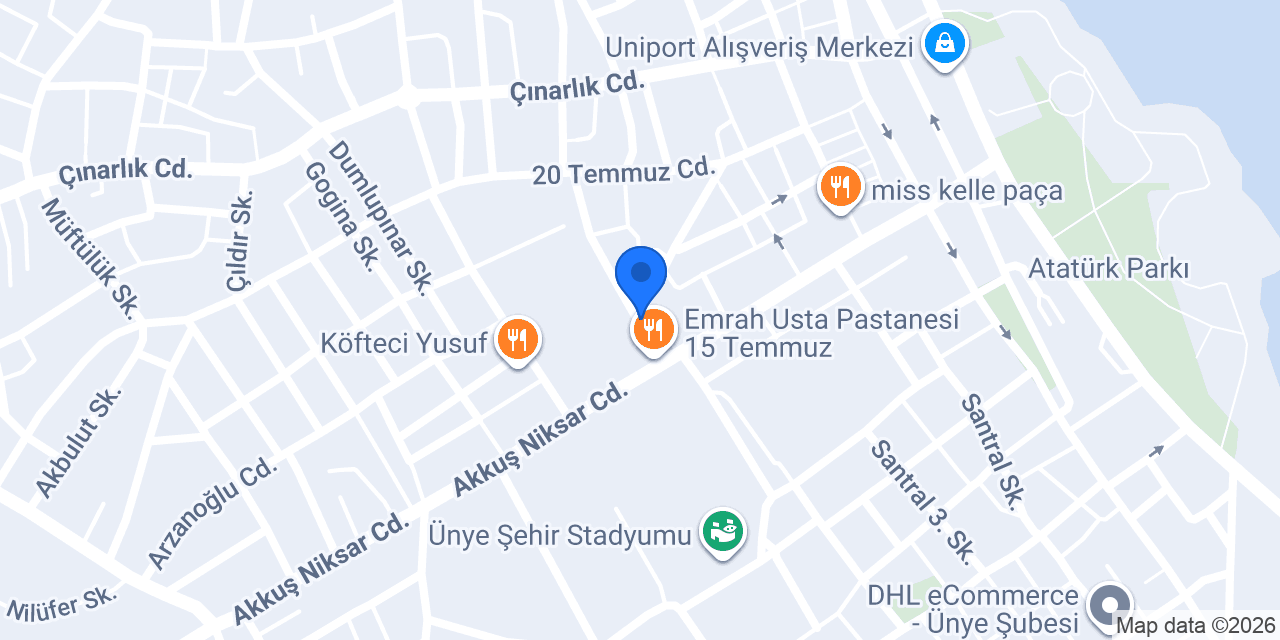 ÜNYE Güler Sigorta konumu
