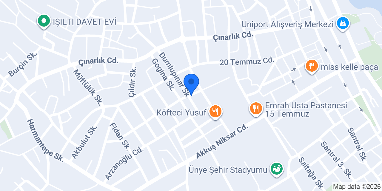 EGE EMLAK ÜNYE konumu