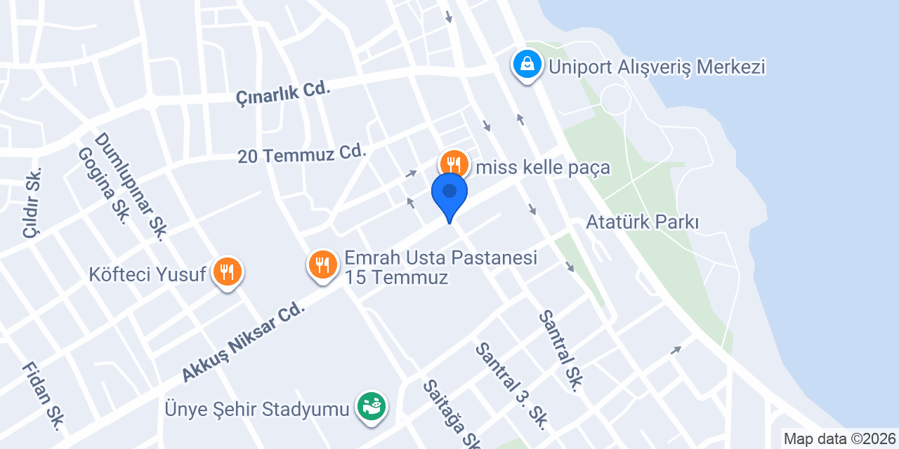 KARAGÖZ MEDYA ÜNYE konumu