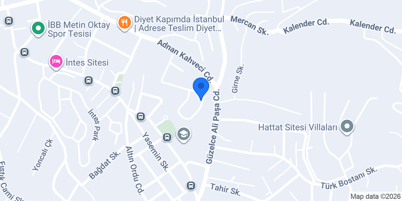 Halkalı maymoda konumu