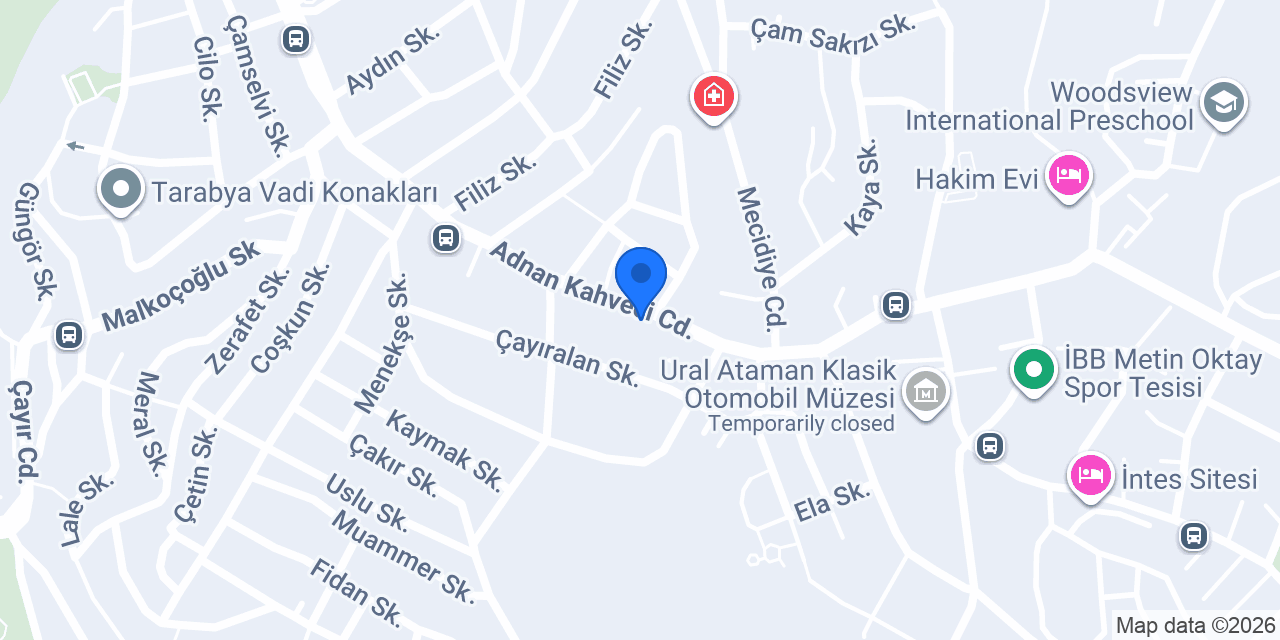 Koray Vize Danışmanlık konumu