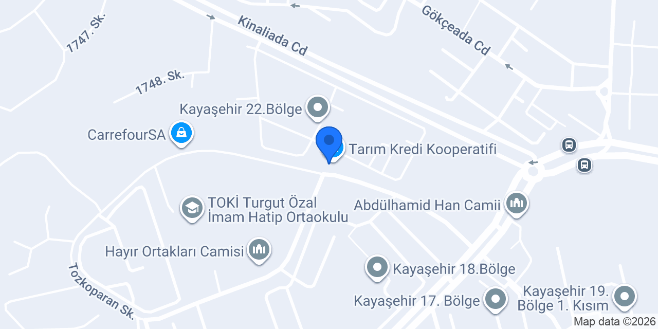 MS ELEKTRİK konumu