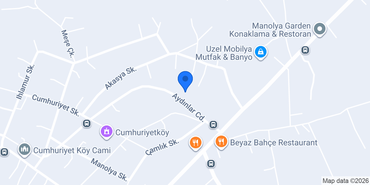 Vizyon konumu