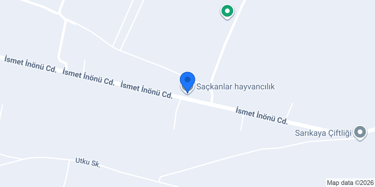 Saçkanlar hayvancılık konumu