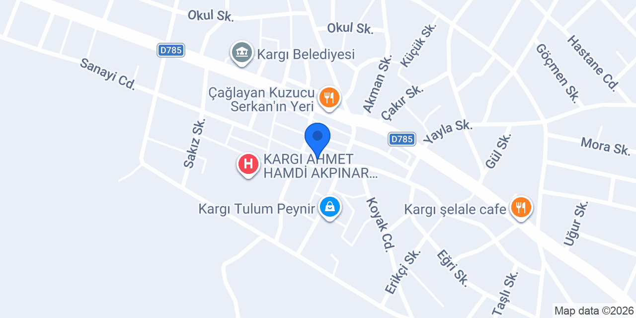 Net Elektronik konumu