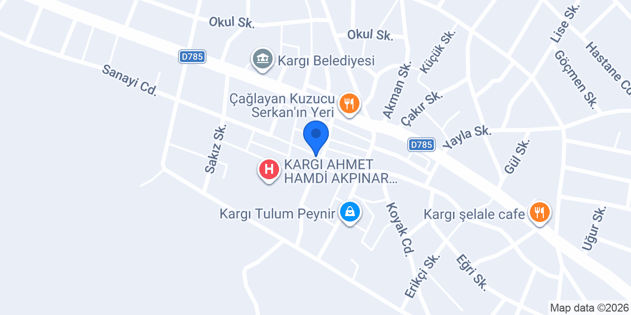 19 PROMİL TEKEL BAYİİ - KARGI konumu