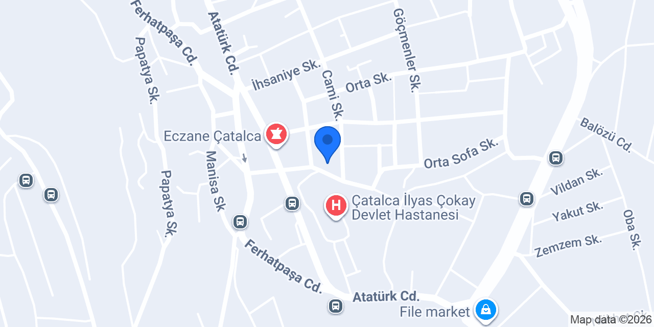 Nane Limon Eczanesi konumu