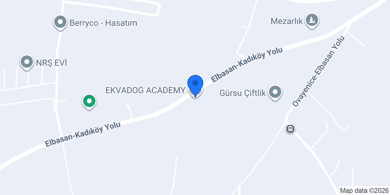 Ekvadog Academy konumu
