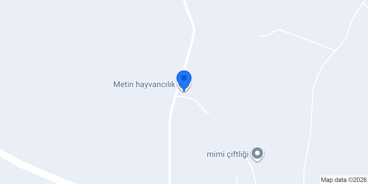 Metin hayvancılık konumu