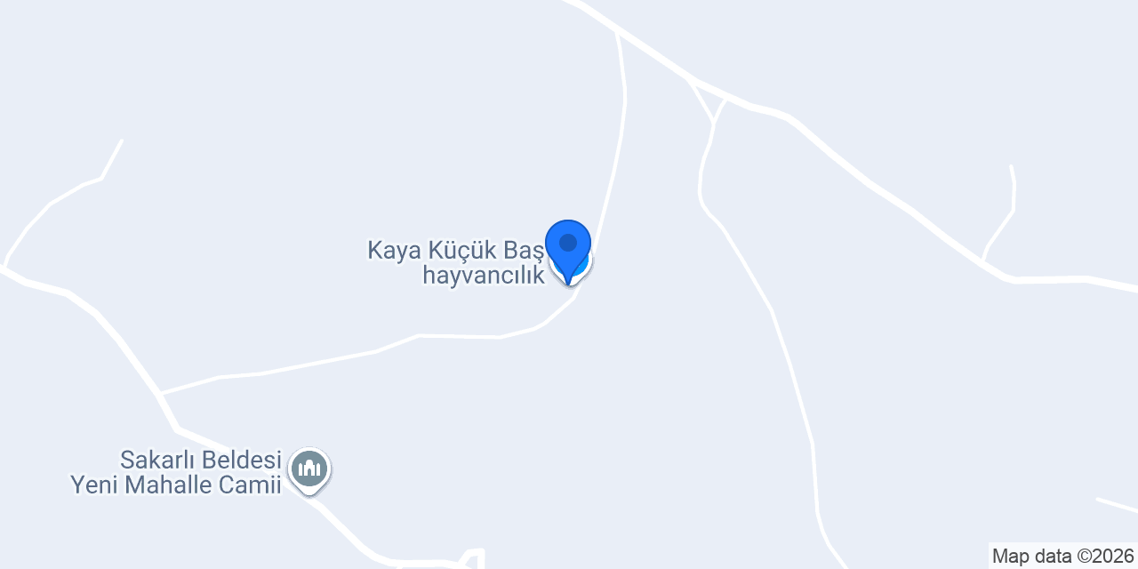 Kaya Küçük Baş hayvancılık konumu