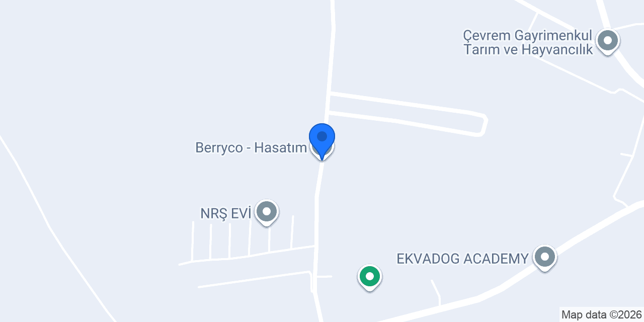 Berryco - Hasatım konumu