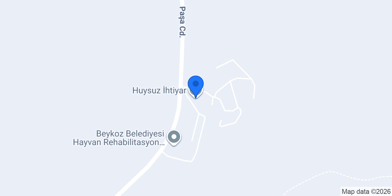 Huysuz İhtiyar konumu