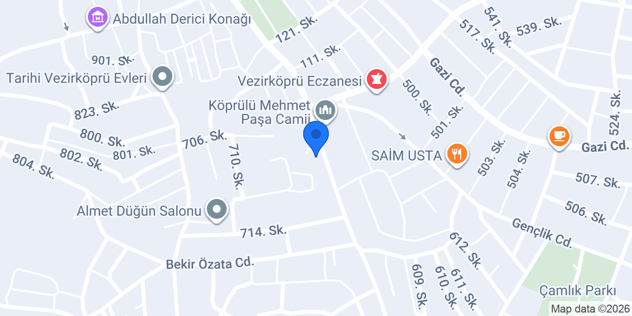 Pasaport Pizza Vezirköprü konumu