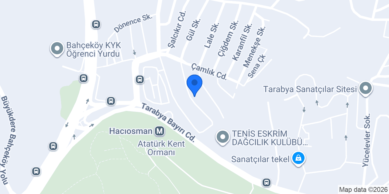 Ahmet Kaplan Akademi konumu