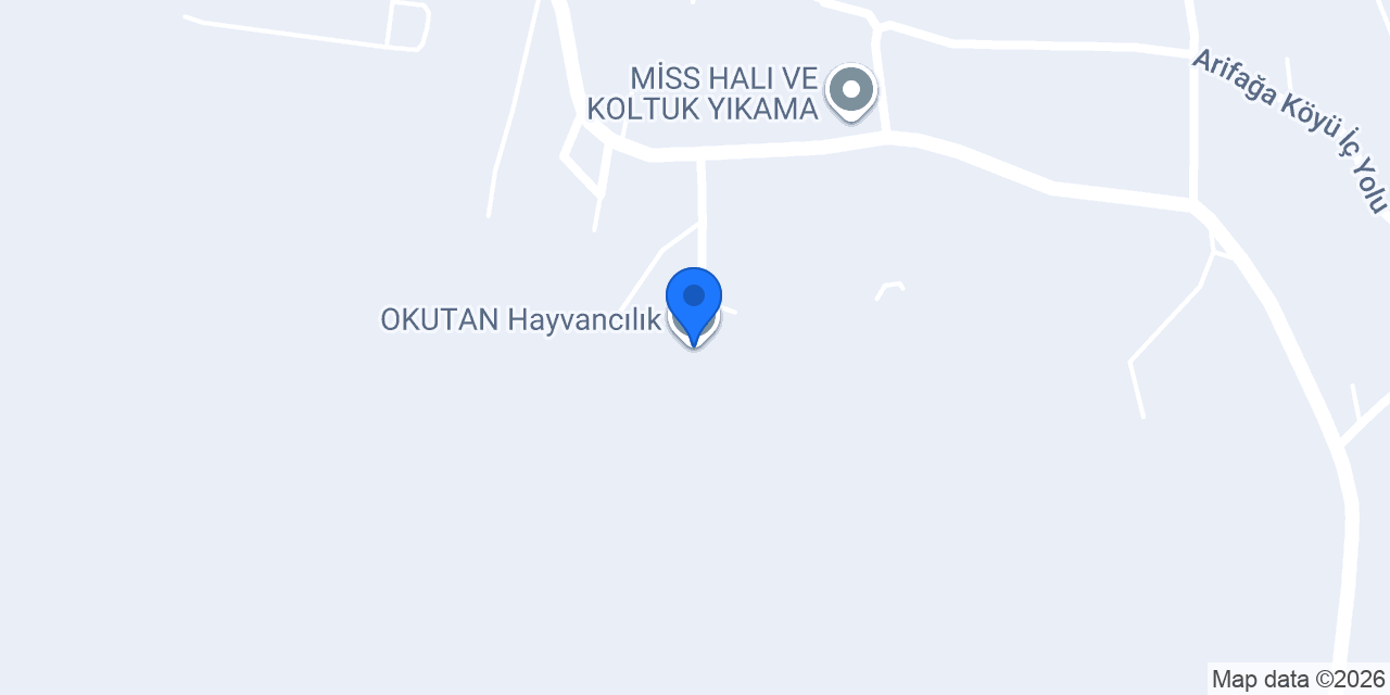 OKUTAN Hayvancılık konumu