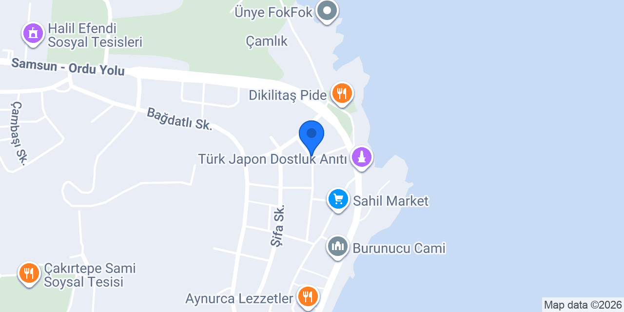 Vizyon Halı Yıkama konumu