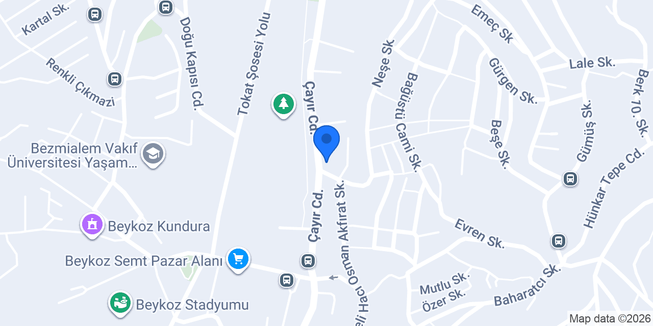 Çayır Oto Lastik konumu