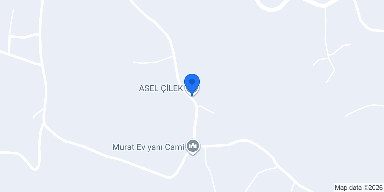 ASEL ÇİLEK konumu