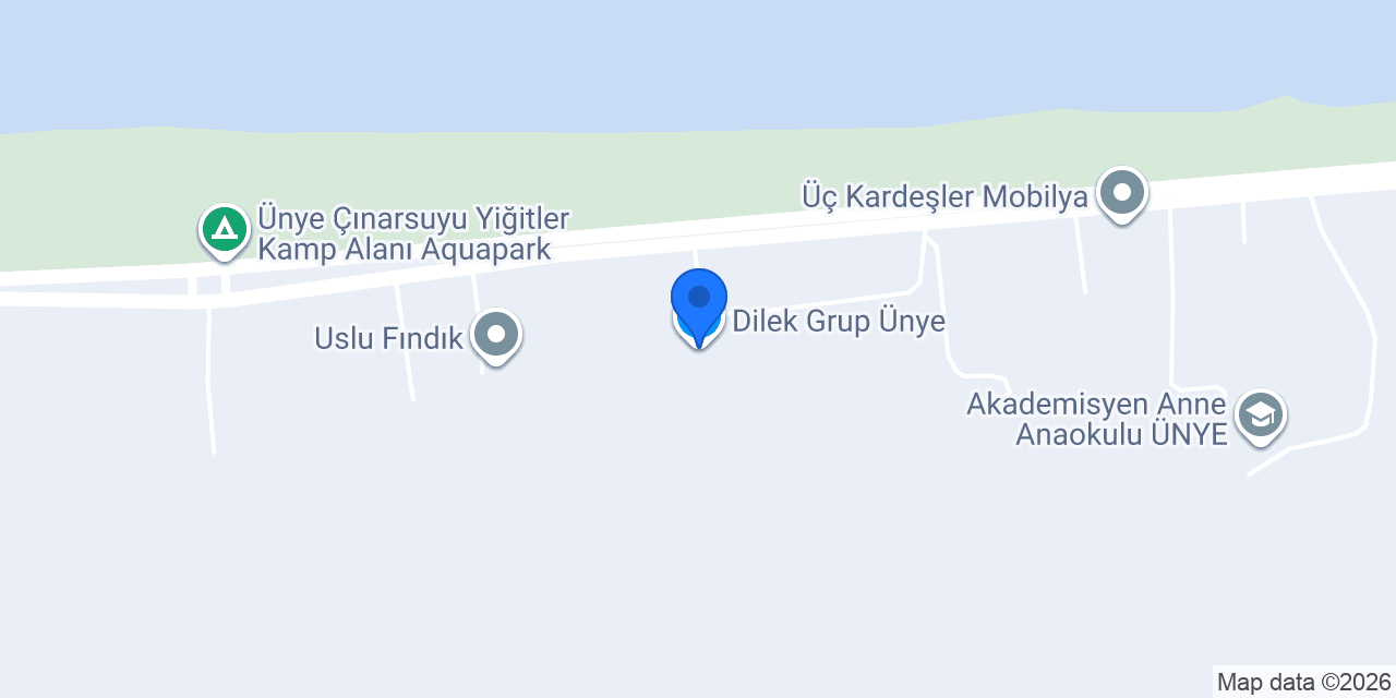 Dilek Grup Ünye konumu