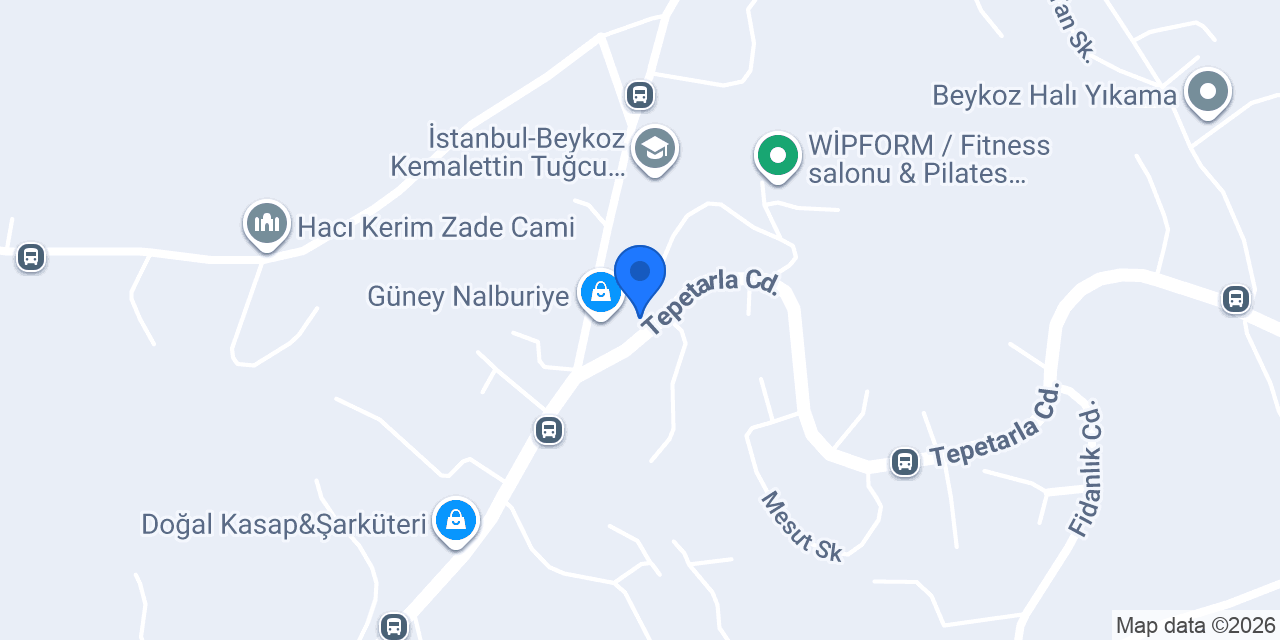 Terzi Hanım konumu