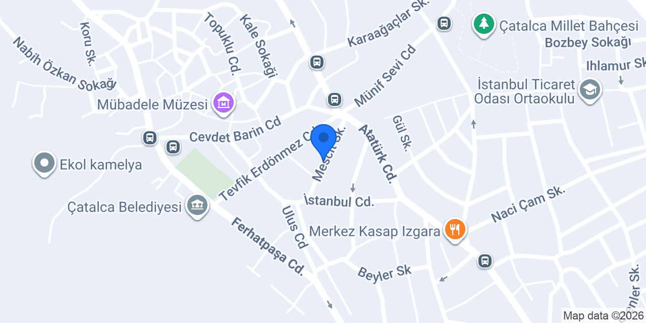 Meşede döner konumu