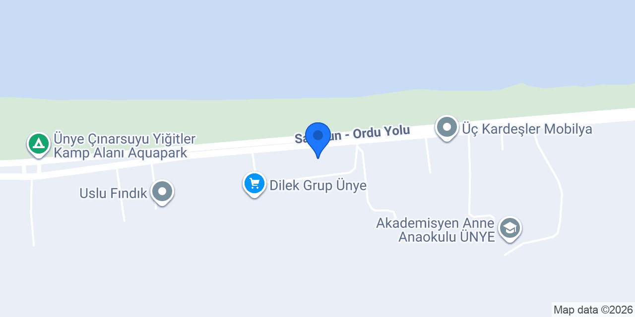 ÖZEL ÜNYE SINAV KOLEJİ konumu