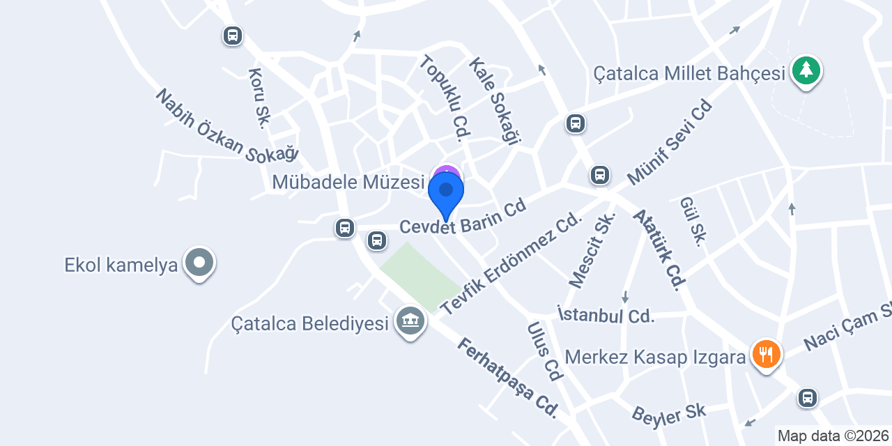 Mali Müşavir Ali GENER konumu