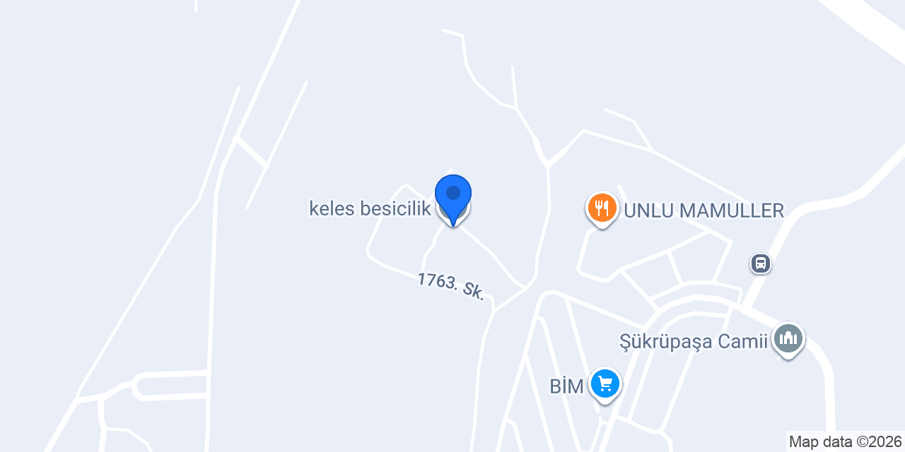 keles besicilik konumu