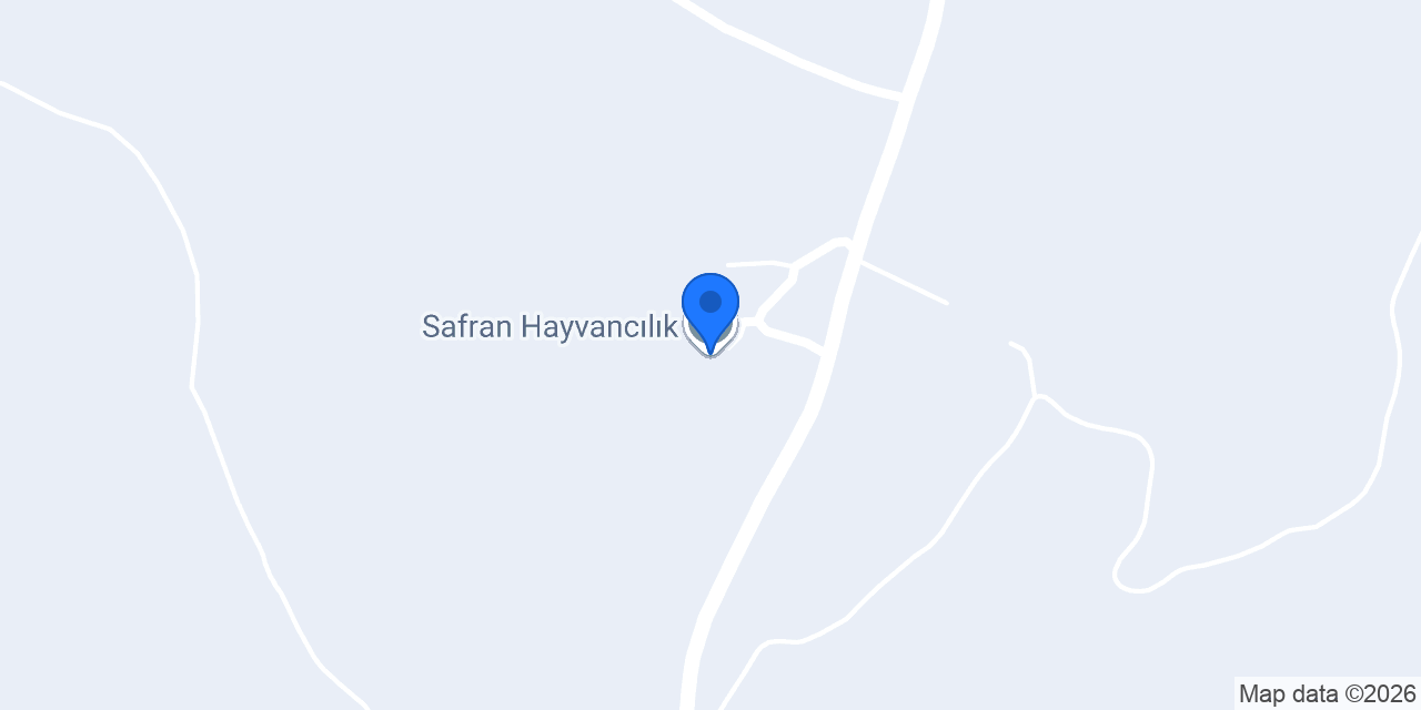 Safran Hayvancılık konumu