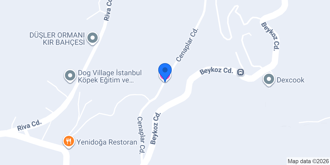 Patika dağevi konumu