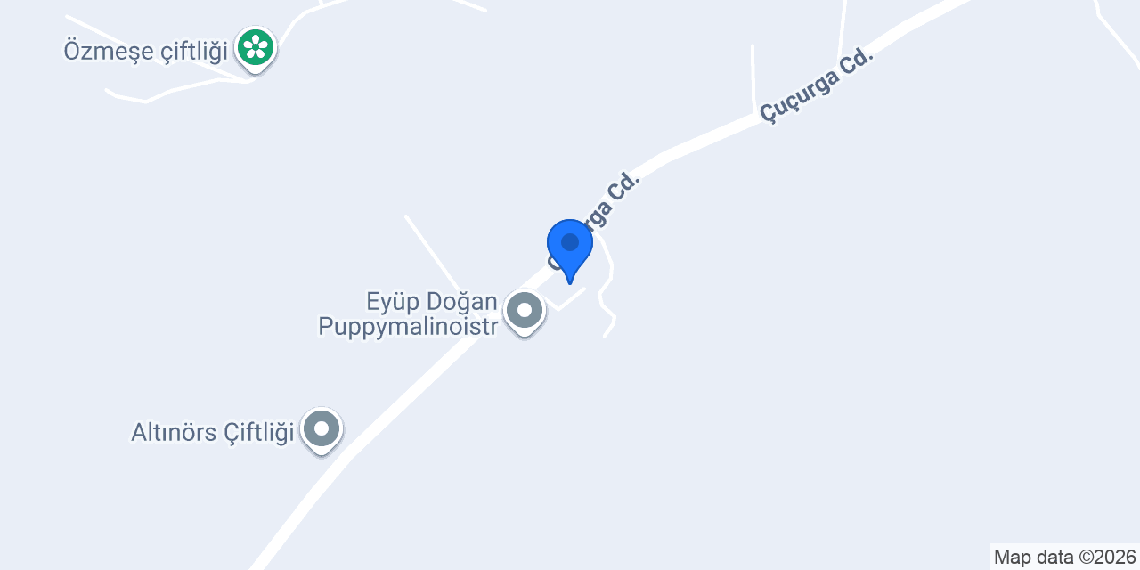 ARNAVUT'UN ÇİFTLİK konumu