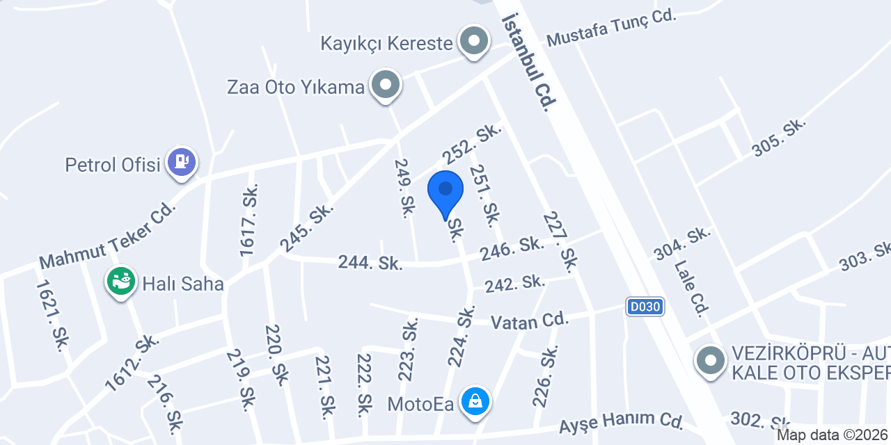 SELÇUK HALLEDİCİ konumu