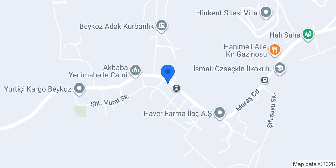 Dost Plak konumu