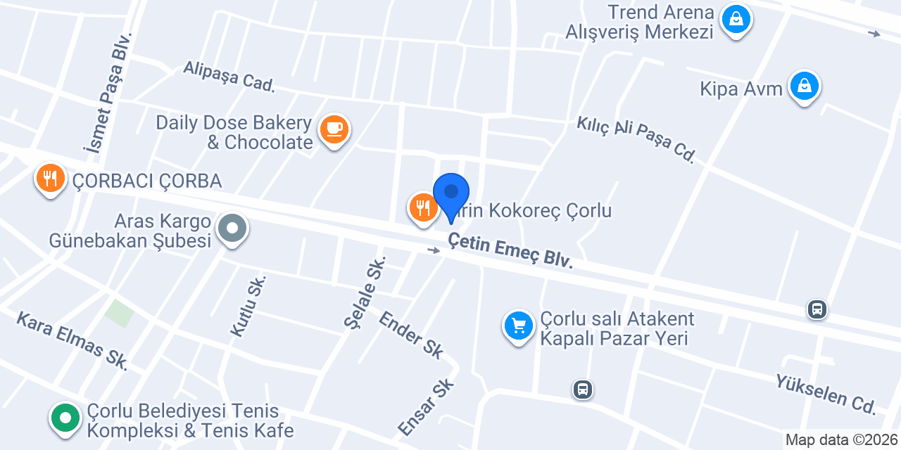 Elit Vizyon Danışmanlık konumu