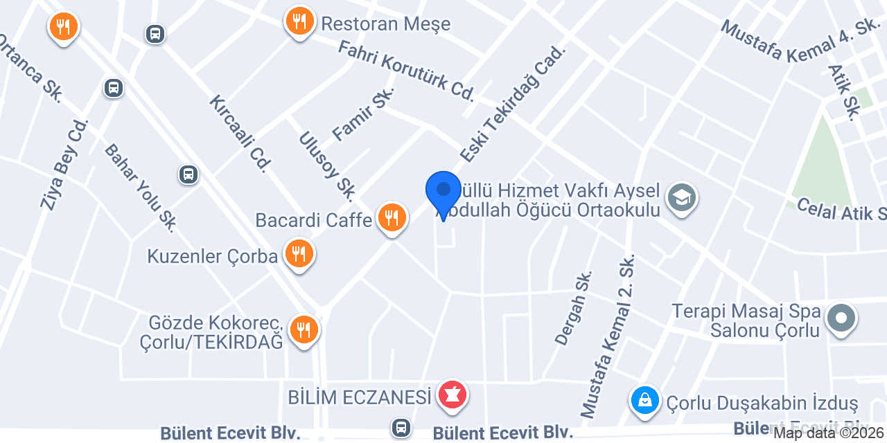 Profesyonel Koltuk yıkama konumu