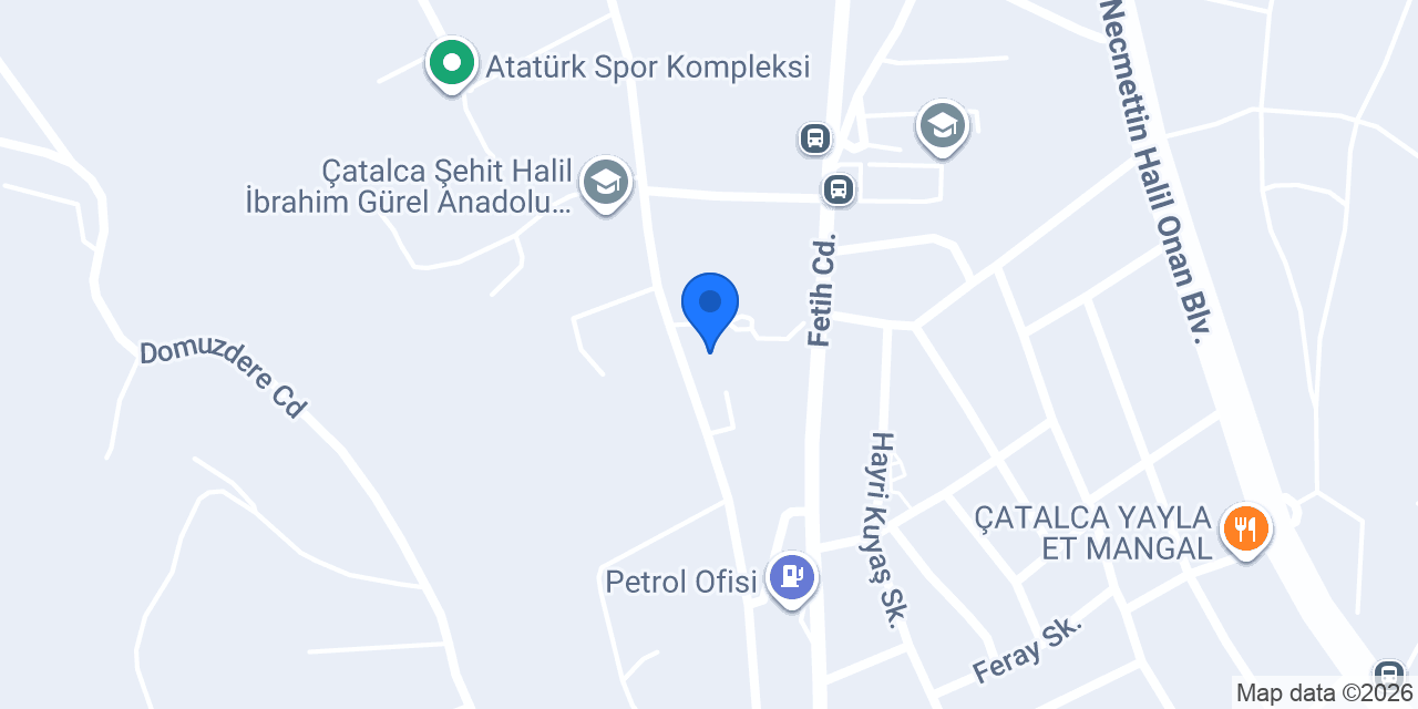 İnsan Enstitü konumu