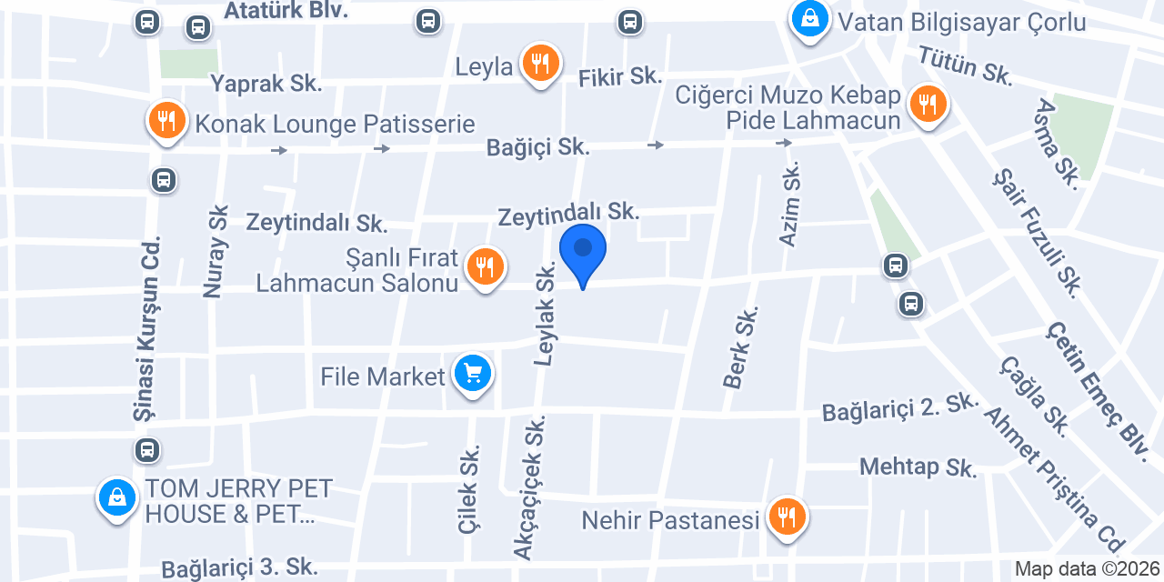 BİRLİK ELEKTRİK konumu