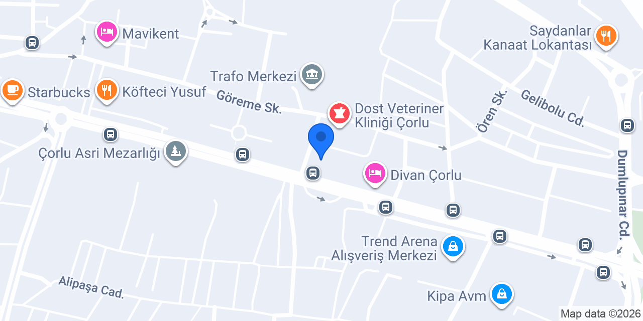 Reyap Hastanesi Çorlu konumu