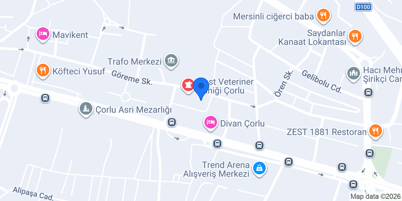 FARKLI FİKİRLER OKULLARI konumu