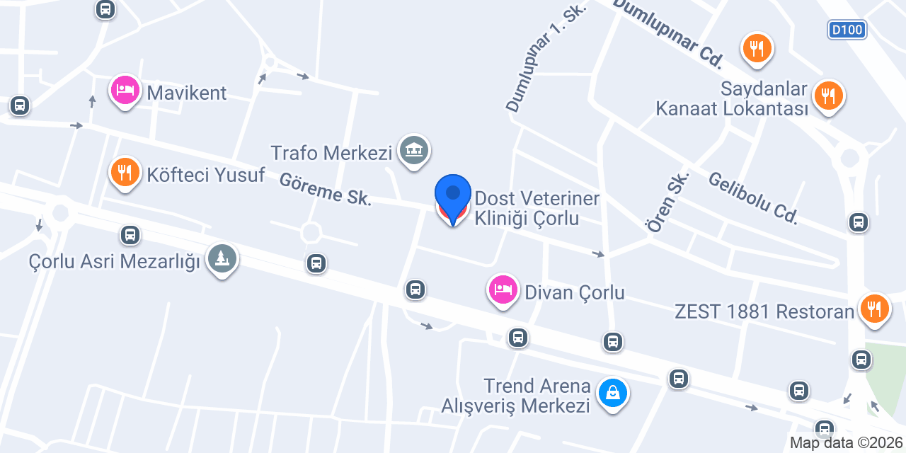 Dost Veteriner Kliniği Çorlu konumu