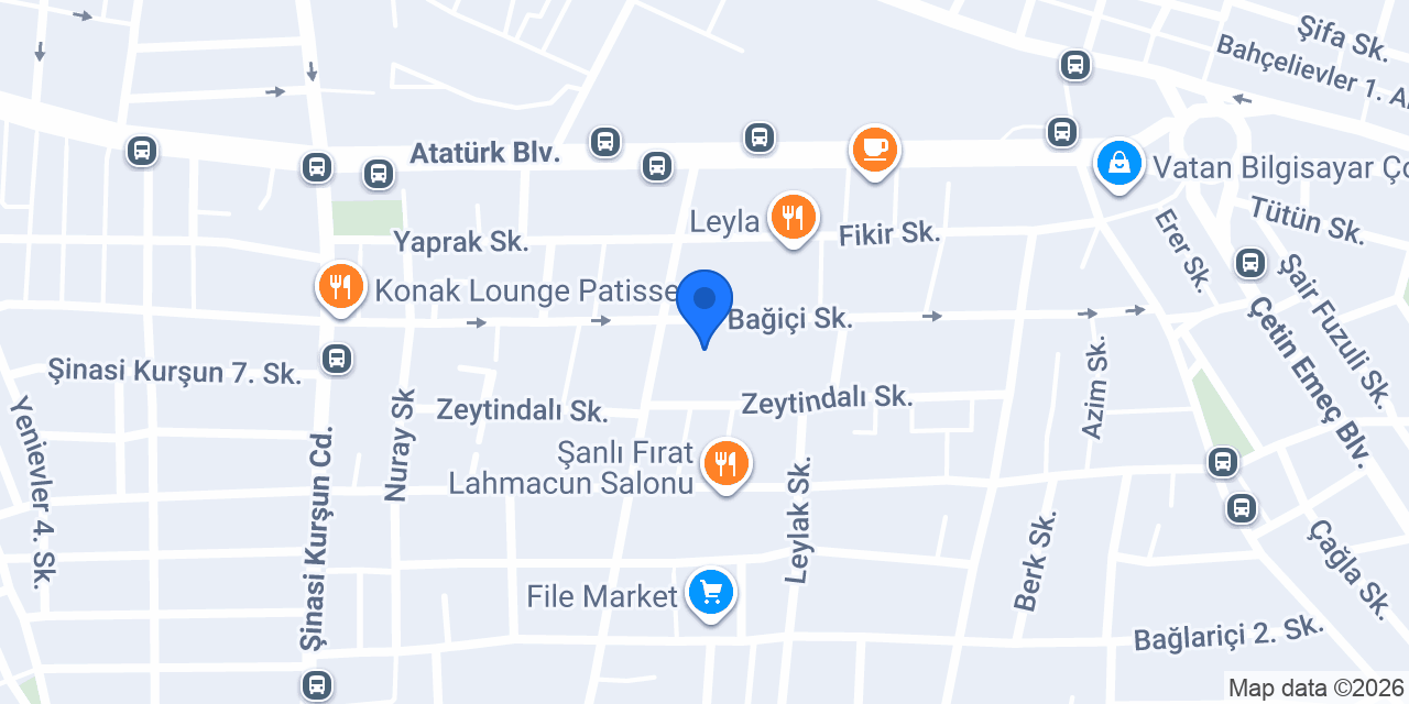 Tutan Organizasyon konumu